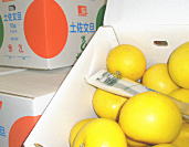 高知県産ぽんかん