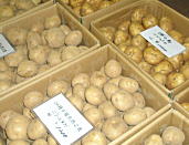 沖縄県産冬瓜